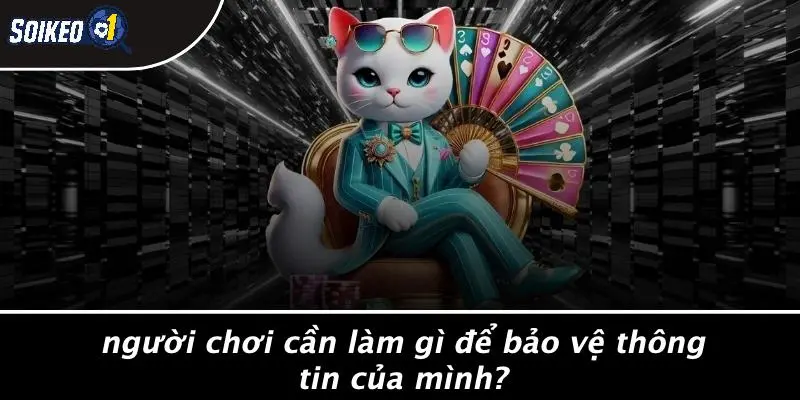 Người Chơi Cần Làm Gì Để Bảo Vệ Thông Tin Của Mình?