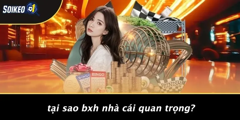 Tại Sao BXH Nhà Cái Quan Trọng?