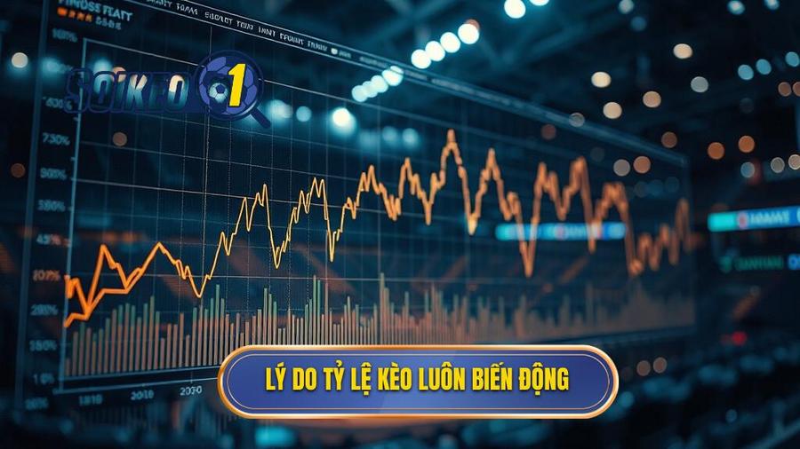 Tại sao tỷ lệ kèo bóng đá trực tuyến luôn biến động?